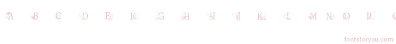 Ohbotherfont Font – Pink Fonts on White Background