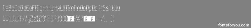 Numbat Font – White Fonts on Gray Background