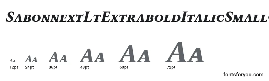 SabonnextLtExtraboldItalicSmallCaps Font Sizes
