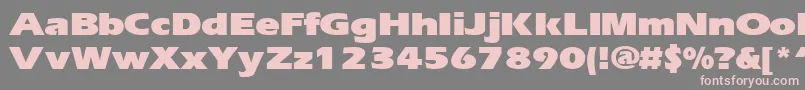 ErgoeblackexpandedRegular Font – Pink Fonts on Gray Background