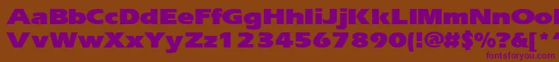 ErgoeblackexpandedRegular Font – Purple Fonts on Brown Background