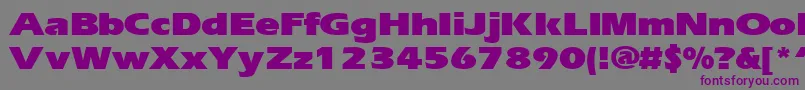 ErgoeblackexpandedRegular Font – Purple Fonts on Gray Background