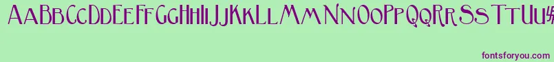 BirminghamSansSerif Font – Purple Fonts on Green Background