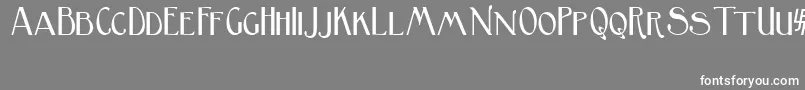 BirminghamSansSerif Font – White Fonts on Gray Background