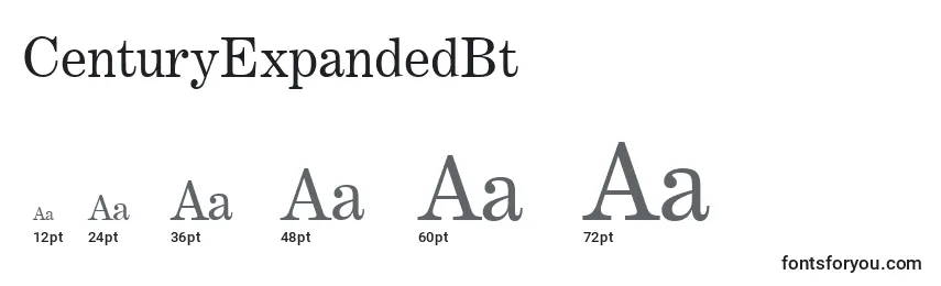 CenturyExpandedBt Font Sizes