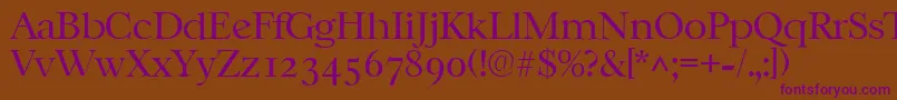 CasablancalhRegular Font – Purple Fonts on Brown Background