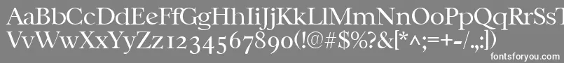 CasablancalhRegular Font – White Fonts on Gray Background