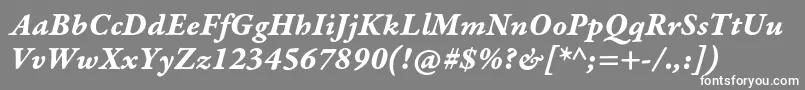 フォントGaramondpremrproBditcapt – 灰色の背景に白い文字