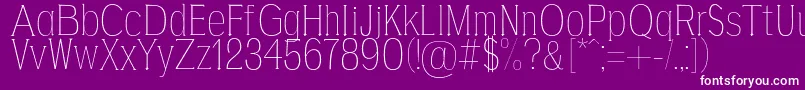 AgajdaThin Font – White Fonts on Purple Background