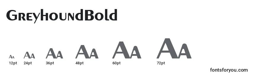 GreyhoundBold Font Sizes