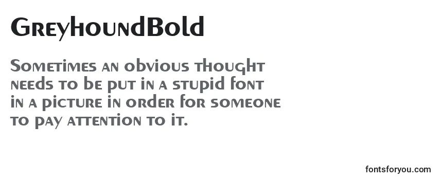 GreyhoundBold-fontti