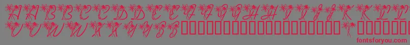 LmsDaisyDays Font – Red Fonts on Gray Background