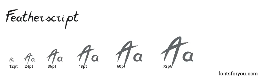Featherscript Font Sizes