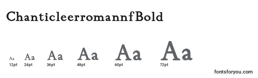 ChanticleerromannfBold (105962) Font Sizes