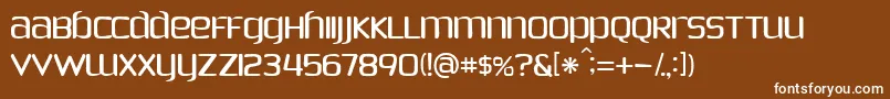 PhoenixSans Font – White Fonts on Brown Background