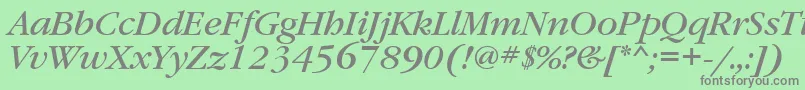 GaramondbookattItalic Font – Gray Fonts on Green Background