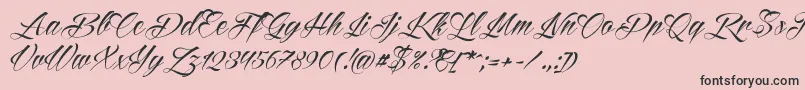 Reditum Font – Black Fonts on Pink Background