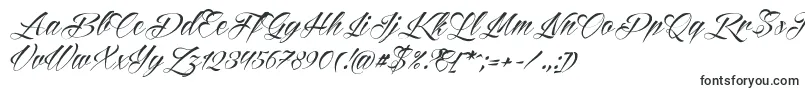Czcionka Reditum – czcionki kaligraficzne