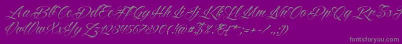 Reditum Font – Gray Fonts on Purple Background
