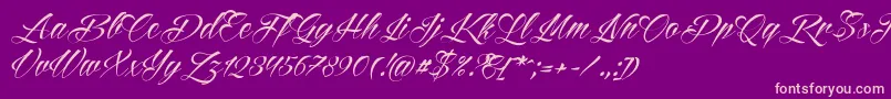 Reditum Font – Pink Fonts on Purple Background
