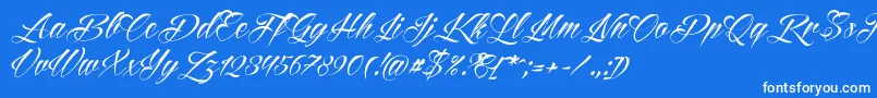 Reditum Font – White Fonts on Blue Background