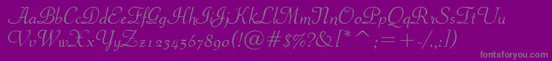 PiranesiItalicBt Font – Gray Fonts on Purple Background