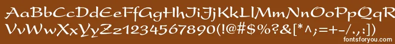 フォントPresentltstdBold – 茶色の背景に白い文字