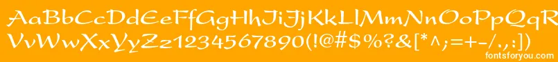 フォントPresentltstdBold – オレンジの背景に白い文字