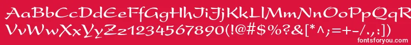 フォントPresentltstdBold – 赤い背景に白い文字