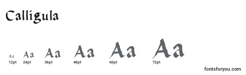 sizes of calligula font, calligula sizes