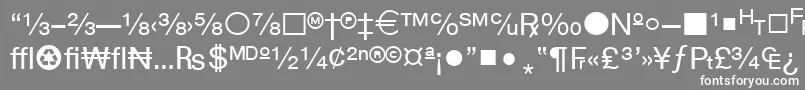 フォントWphv04n – 灰色の背景に白い文字