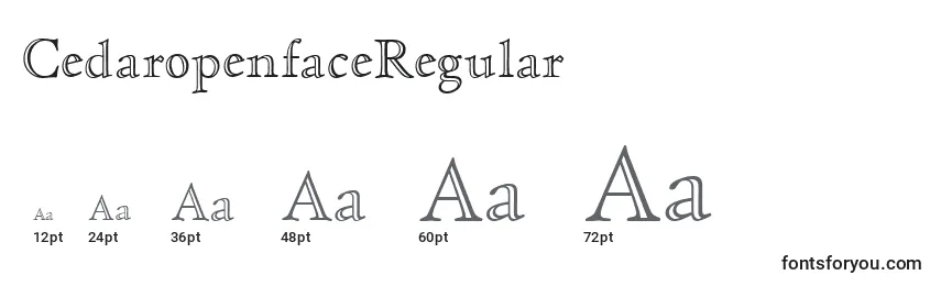 Größen der Schriftart CedaropenfaceRegular