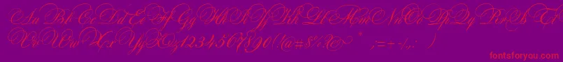 AuroraScript Font – Red Fonts on Purple Background