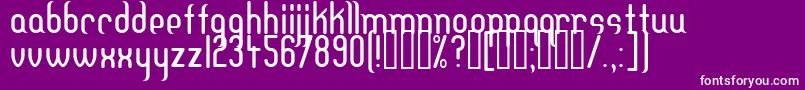 Dfteh Font – White Fonts on Purple Background