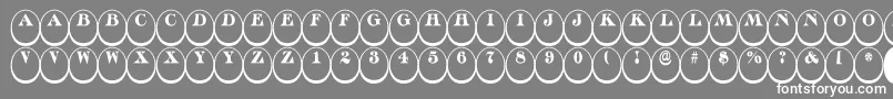 フォントDiscoserifdn3DnrRegular – 灰色の背景に白い文字