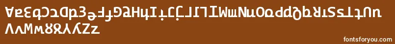 フォントRidicode – 茶色の背景に白い文字