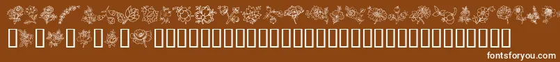 TraditionalFloralDesignIii Font – White Fonts on Brown Background