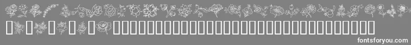 フォントTraditionalFloralDesignIii – 灰色の背景に白い文字