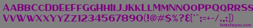 HaarlemSans Font – Purple Fonts on Gray Background