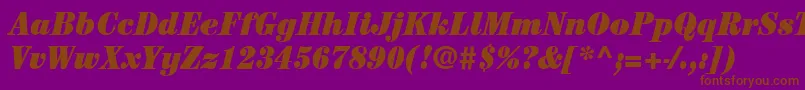 ItcCenturyLtUltraCondensedItalic Font – Brown Fonts on Purple Background