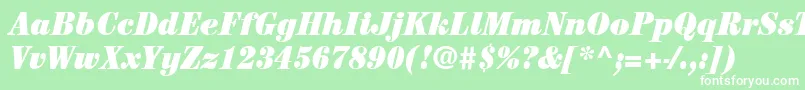 ItcCenturyLtUltraCondensedItalic Font – White Fonts on Green Background