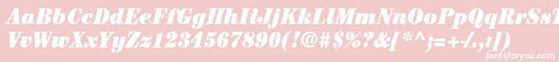 ItcCenturyLtUltraCondensedItalic Font – White Fonts on Pink Background