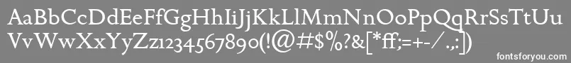 フォントGoldenCockerelItcRoman – 灰色の背景に白い文字