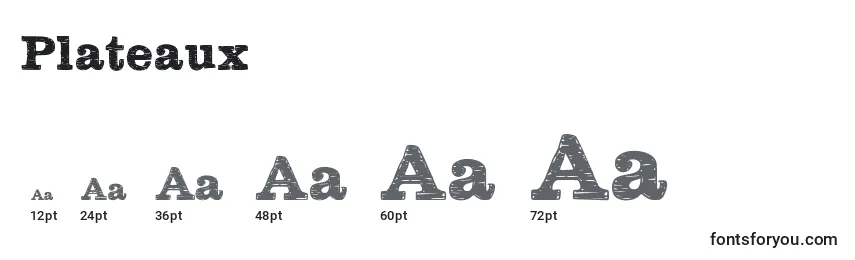 Размеры шрифта Plateaux
