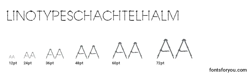 Rozmiary czcionki Linotypeschachtelhalm
