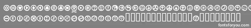 Alesignswhitell Font – White Fonts on Gray Background