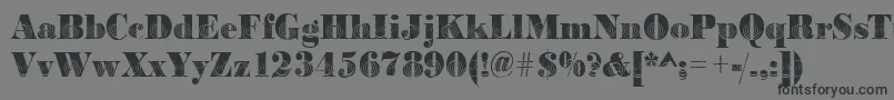 Bodoniwinding2Regular Font – Black Fonts on Gray Background