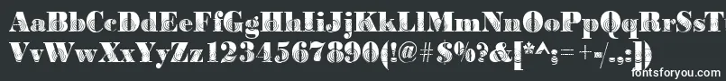 Bodoniwinding2Regular Font – White Fonts