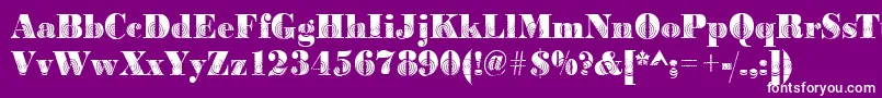 Bodoniwinding2Regular Font – White Fonts on Purple Background