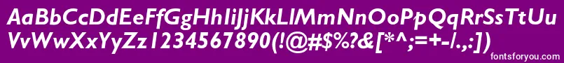 StimmellBolditalic Font – White Fonts on Purple Background